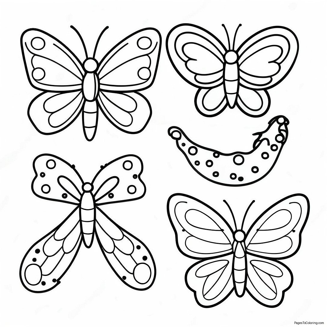 Butterfly Life Cycle Stages Coloring Page 14761 12095