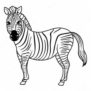 Zebra Stripes Coloring Page 10552-8753