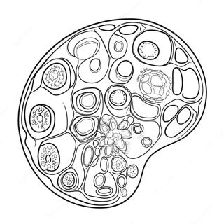 Plant Cell Structure Coloring Page 10751-8911