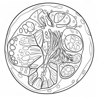 Plant Cell Structure Coloring Page 10751-8912