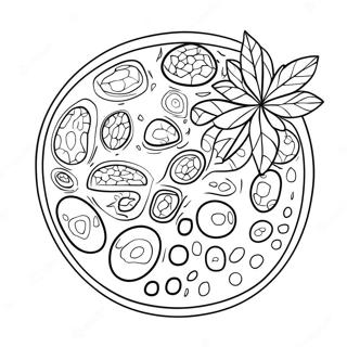 Plant Cell Coloring Pages