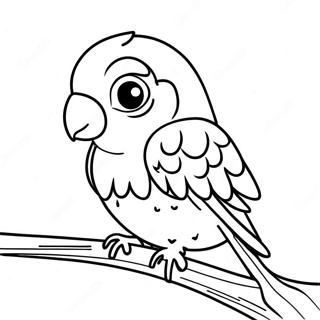 Parakeet Coloring Page 10871-9002