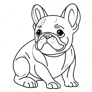 Frenchie Coloring Pages