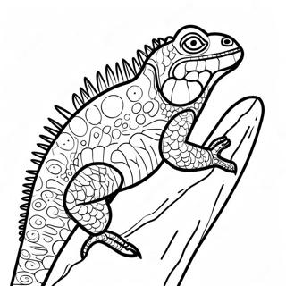 Iguana Coloring Page 13551-11127