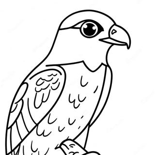 Peregrine Falcon Coloring Page 13721-11266