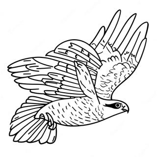 Peregrine Falcon Coloring Pages