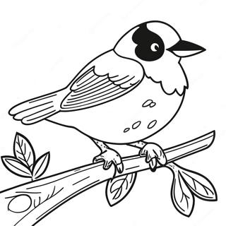 Orioles Coloring Pages