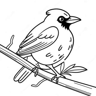 Orioles Coloring Page 13781-11311