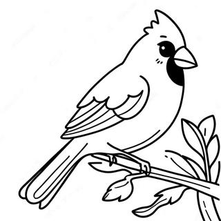 Cardinal Coloring Pages