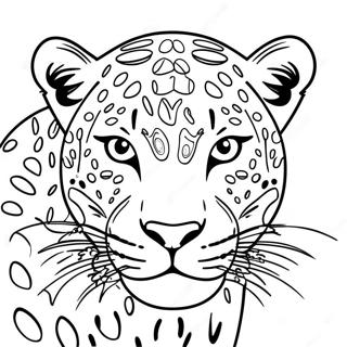 Leopard Coloring Pages