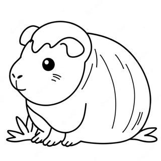 Guinea Pig Coloring Page 1421-1248