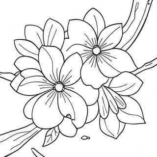 Sakura Coloring Pages