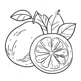 Orange Coloring Pages