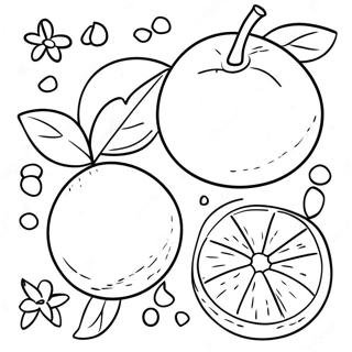 Orange Fruit Coloring Page 14401-11803