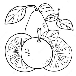 Orange Fruit Coloring Page 14401-11804