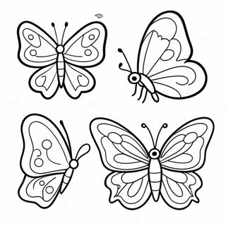 Butterfly Life Cycle Coloring Pages