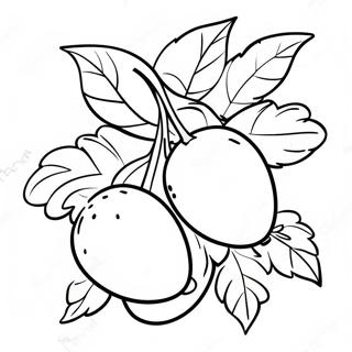 Colorful Tu Bishvat Fruits Coloring Page 14832-12152