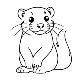 Ferret Coloring Page 15331-12546