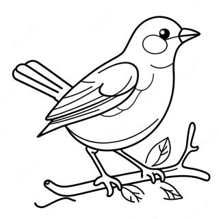 Robin Coloring Page 16241-13270