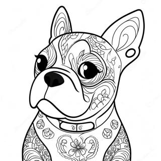 Boston Terrier Coloring Pages