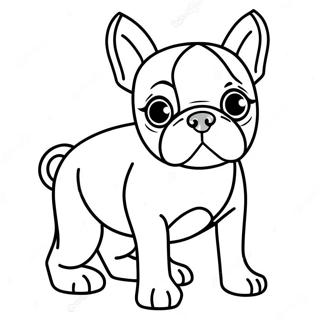 Boston Terrier Coloring Page 16341-13351