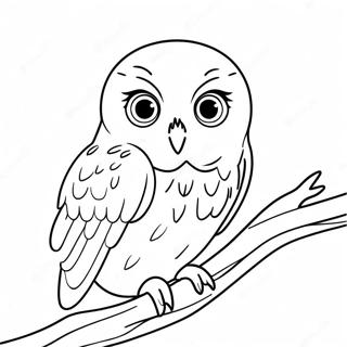 Hedwig The Owl Coloring Page 16431-13423