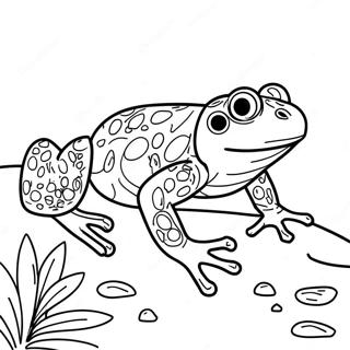 Amphibian Coloring Pages