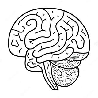 Colorful Adhd Brain Coloring Page 16632-13589