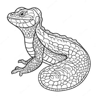 Reptile Coloring Pages