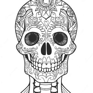 Anatomy And Physiology Coloring Pages