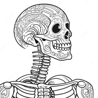 Detailed Human Skeleton Coloring Page 17092-13942