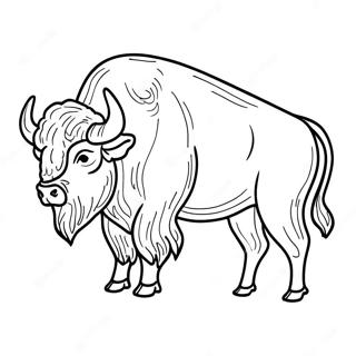 Buffalo Coloring Pages