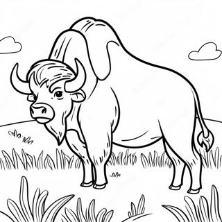 Majestic Buffalo In A Meadow Coloring Page 17172-14009