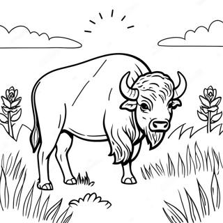 Majestic Buffalo In A Meadow Coloring Page 17172-14011