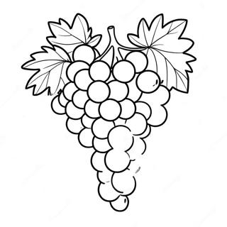 Grape Coloring Pages