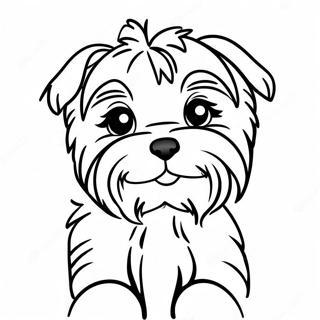 Yorkie Coloring Pages