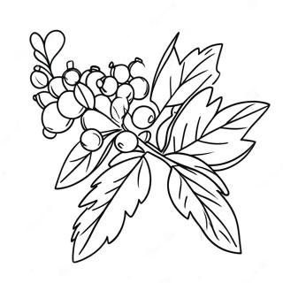 Mistletoe Coloring Pages