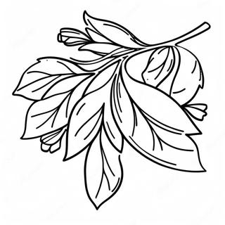 Mistletoe Coloring Page 18231-14848