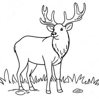 Elk Coloring Page 18471-15044