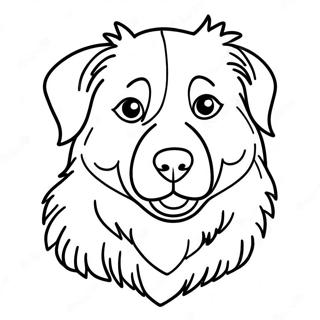 Australian Shepherd Coloring Page 18481-15047