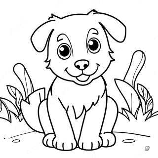 Australian Shepherd Coloring Pages