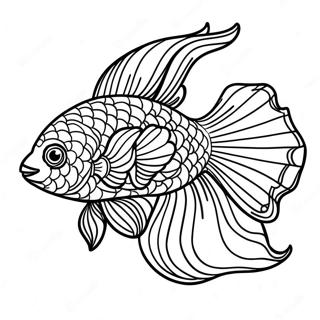 Colorful Beta Fish Swimming Coloring Page 18954-15424