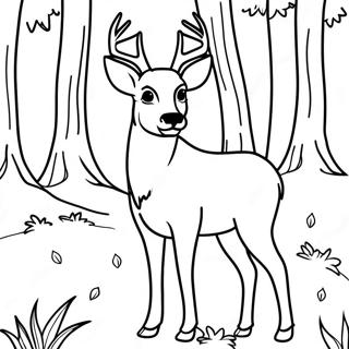 Buck Coloring Pages