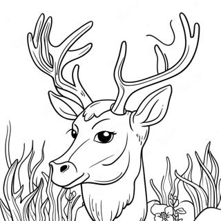 Buck Coloring Pages