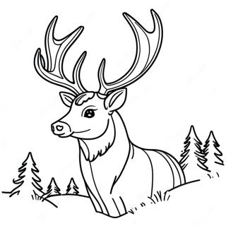 Majestic Buck With Antlers Coloring Page 20174-16394