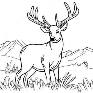 Majestic Buck With Antlers Coloring Page 20174-16396