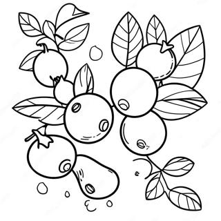 Blueberry Coloring Pages