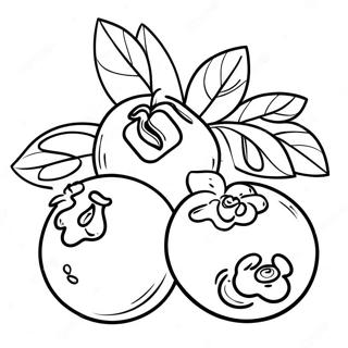 Blueberry Coloring Page 21293-17280