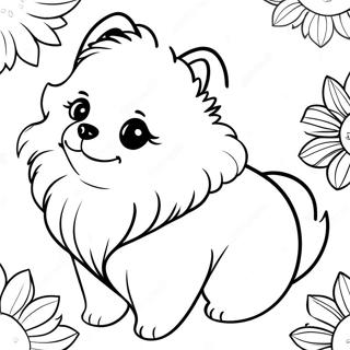 Pomeranian Coloring Pages