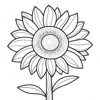 Colorful Kansas Sunflower Coloring Page 22204-18003